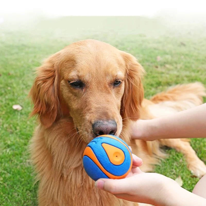 HOOPET Pet Dog Puppy Squeaky Chew Toy Sound Pure Natural Non-toxic Rubber Outdoor Play
