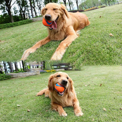 HOOPET Pet Dog Puppy Squeaky Chew Toy Sound Pure Natural Non-toxic Rubber Outdoor Play