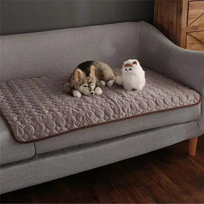 Cooling summer dog mat on gray sofa with puppy and plush toy