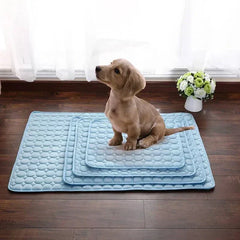 Blue cooling dog mat with layered design and a puppy sitting on it on wooden floor background