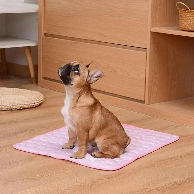 Small brown dog sitting on a pink cooling dog mat on wooden floor next to furniture