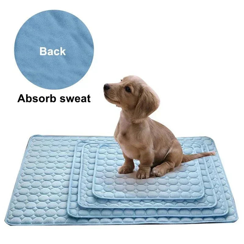 Blue cooling dog mat with sweat-absorbing back and small puppy sitting on it