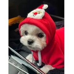Small dog wearing red Santa Claus Christmas hoodie winter pet clothes