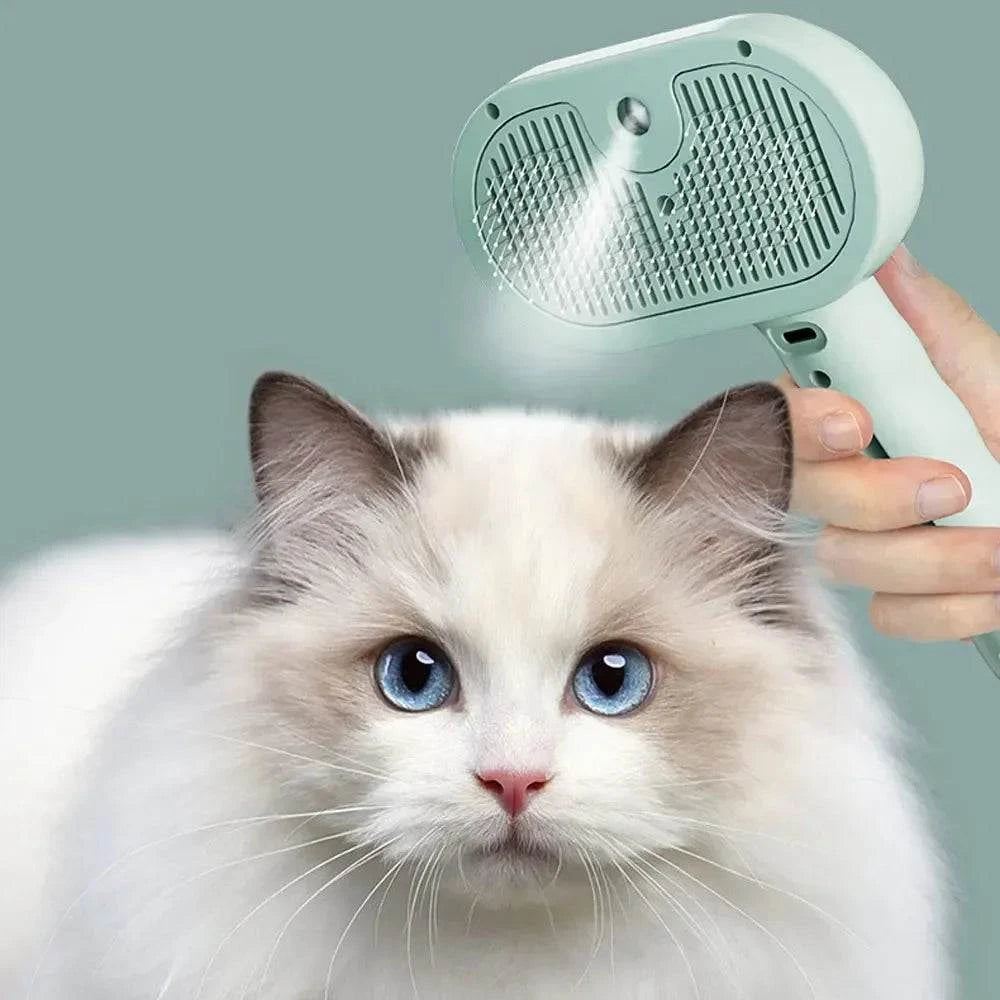 Pet Hair Remover Spray Comb grooming brush spraying mist on white cat with blue eyes