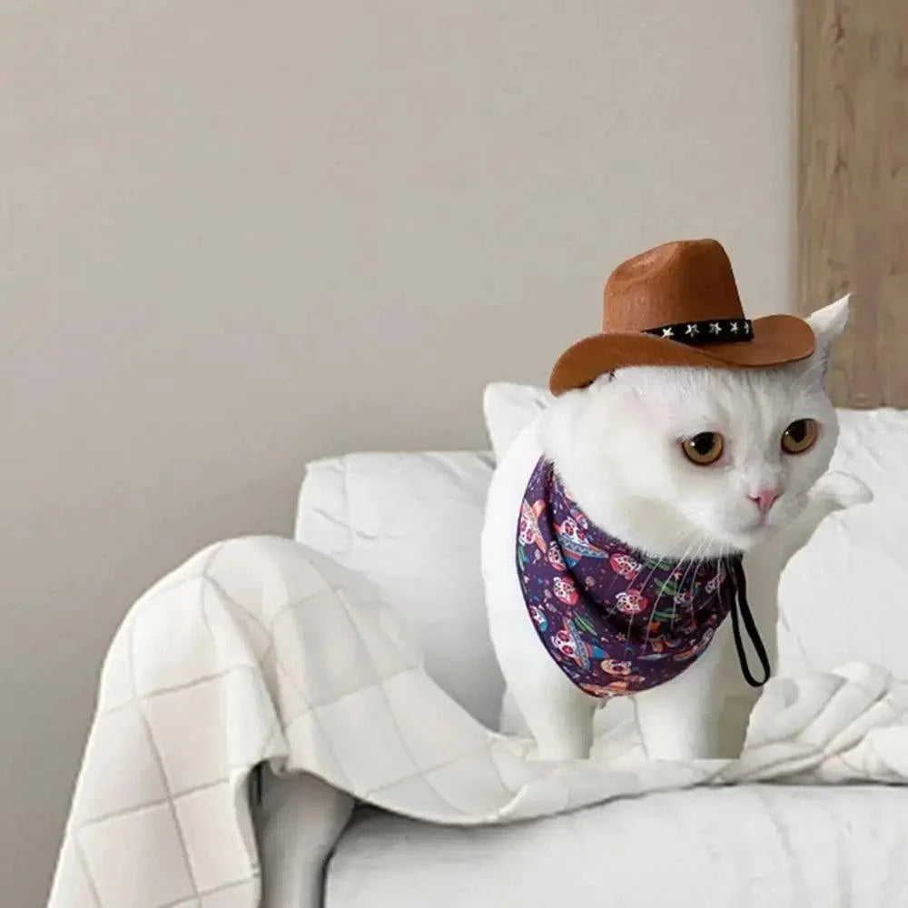 Adjustable Funny Pet Dog Hat Outdoor Summer Pet Accessories Dogs Cats Headwear Cowboy Hats