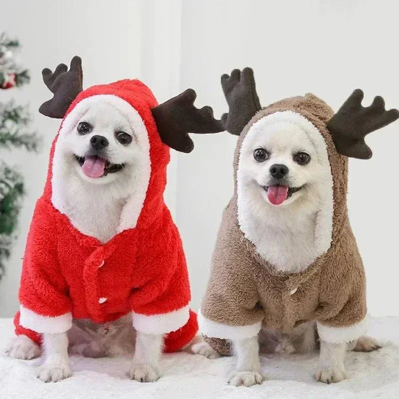 Two small dogs wearing red and brown Christmas reindeer hooded winter coats with antlers.
