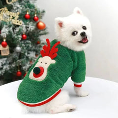 Small white dog wearing green reindeer Christmas sweater for winter holiday pet clothes