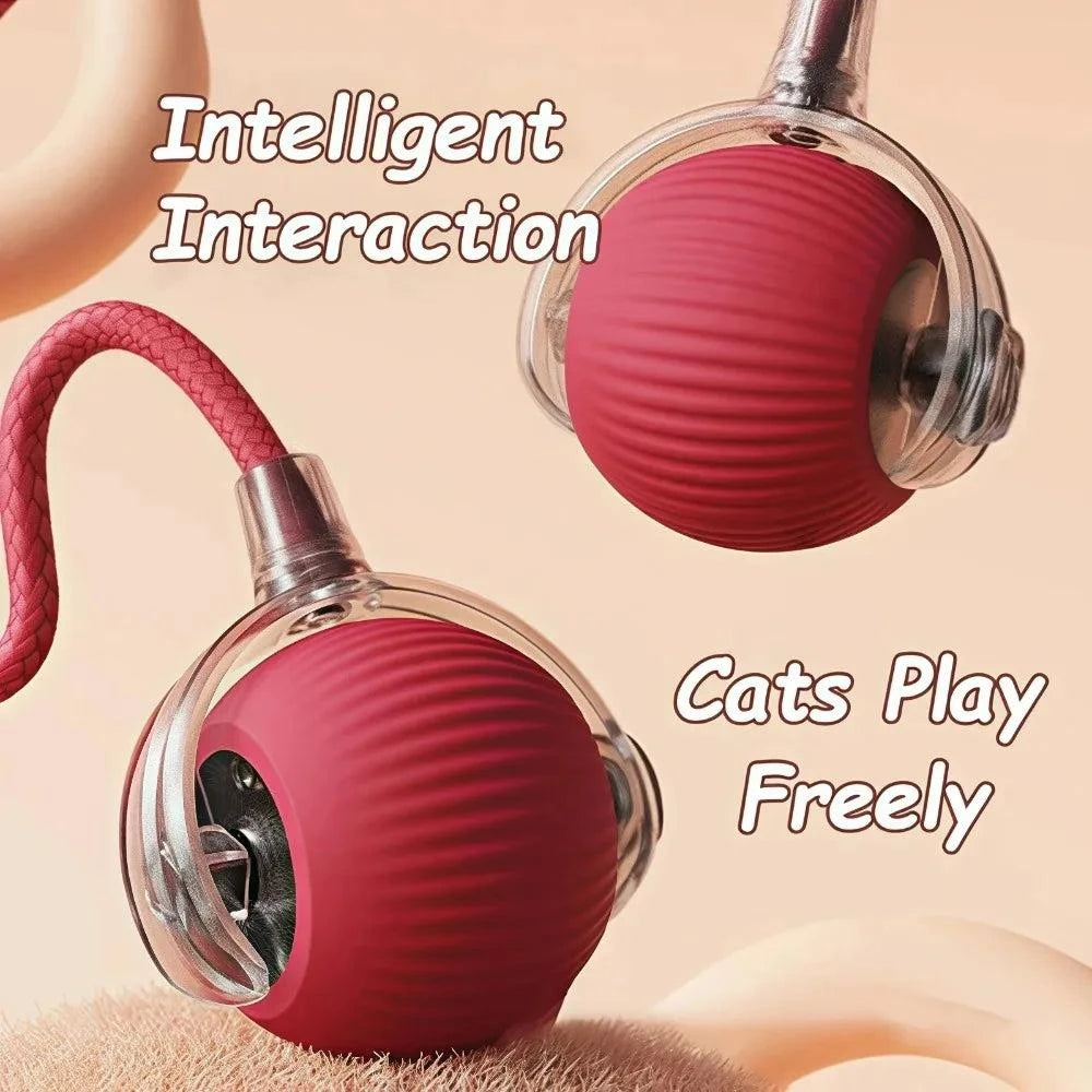 Rechargeable Automatic Interactive Ball Toy for Cats Smart Electric Rolling Faux Tail Mouse