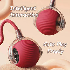 Rechargeable Automatic Interactive Ball Toy for Cats Smart Electric Rolling Faux Tail Mouse