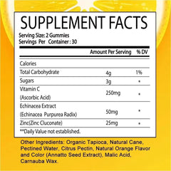 Vitamin C supplement organic vitamin for immune system zinc absorption