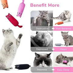 Rustle sound catnip toy plush pillow for cats and kittens, helps reduce destructive behavior, depression, and insomnia.