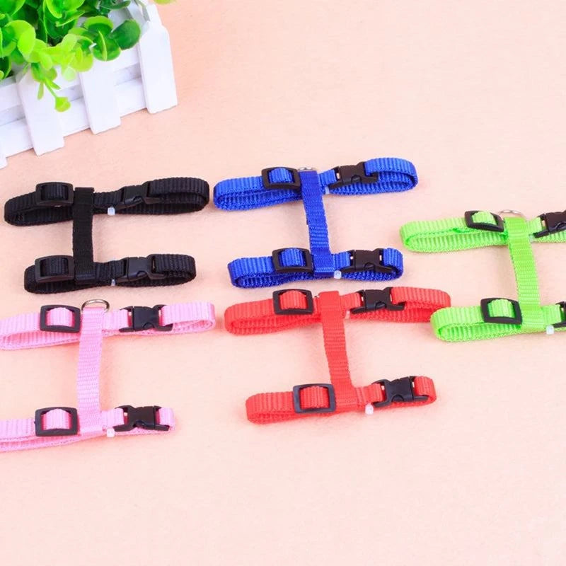 Hot-selling cat chest strap simple design traction rope sturdy and durable pet supplies