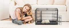 Foldable wire dog crate Double Door with Plastic Leak-Proof Pan tray
