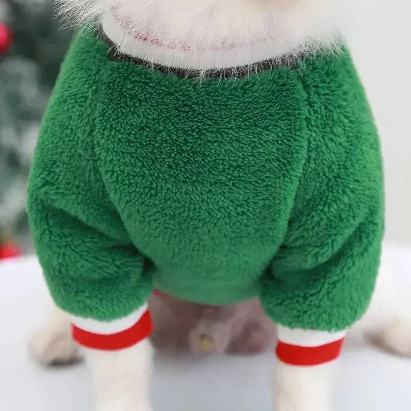 Small dog wearing green winter Christmas clothes fleece hoodie with red and white cuffs