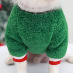 Small dog wearing green winter Christmas clothes fleece hoodie with red and white cuffs