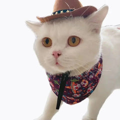 Adjustable Funny Pet Dog Hat Outdoor Summer Pet Accessories Dogs Cats Headwear Cowboy Hats