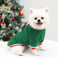 Small white dog wearing green Christmas hoodie costume with red trim in front of decorated Christmas tree