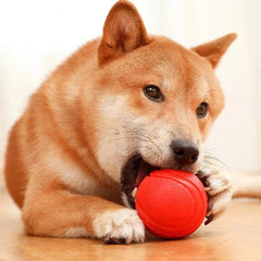 Dog chewing on a red MADDEN S-XL Sizes indestructible rubber ball pet toy