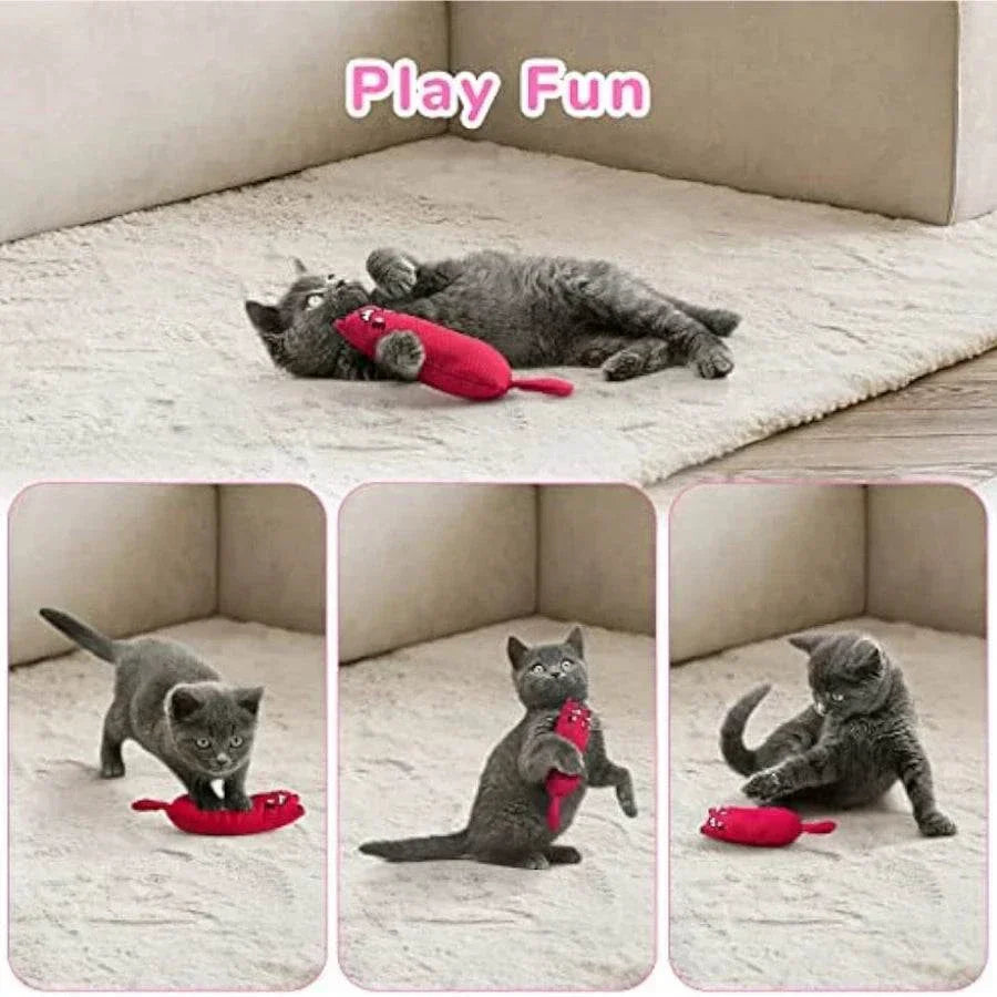 Gray kitten playing with red rustle sound catnip plush toy on beige carpet