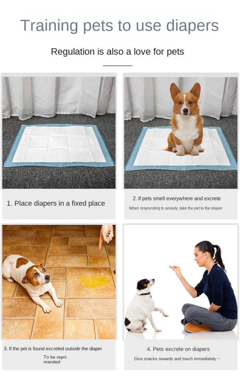 dog nappies Super Absorbent Pet Diaper Disposable Dog Training Pee Pad