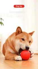 MADDEN S-XL Sizes indestructible red rubber dog ball toy for biting and bouncing