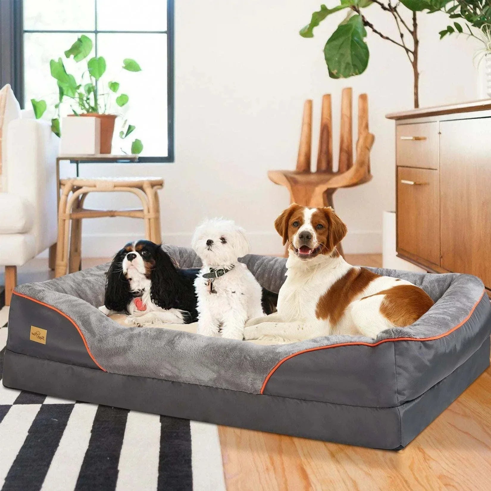 Orthopedic waterproof dog bed with cotton-padded bolster and removable cover with three dogs lying on it in a modern living room