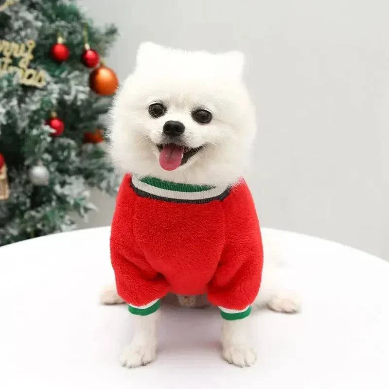small white dog wearing red winter Christmas sweater in front of decorated tree