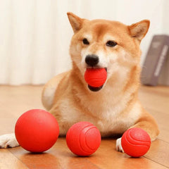 Dog playing with MADDEN S-XL sizes red indestructible rubber pet balls chew toy