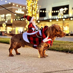 Funny Christmas Pet Cosplay Clothes for Small Medium Dogs Cats Warm Dog Cloak with Santa Claus Pet Costume Happy New Year Gift