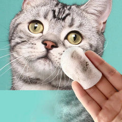 Pet Eye Wipes Cats And Dogs Tearmark Wet Wipes Cats And Dogs Universal No Irritation Canned Wipes