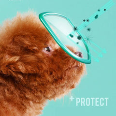 Pet Eye Wipes Cats And Dogs Tearmark Wet Wipes Cats And Dogs Universal No Irritation Canned Wipes