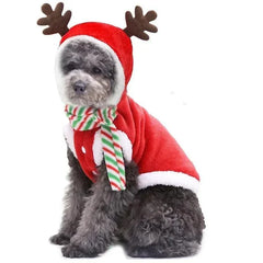 Small dog wearing red Christmas hoodie with reindeer antlers and striped scarf winter dog Christmas clothes