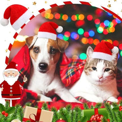 Frienda Dog Santa Hat Christmas Hat Soft Plush Cat Hat Pet Costumes for Small Dog Cat for Pet Party Puppy Christmas Supplies