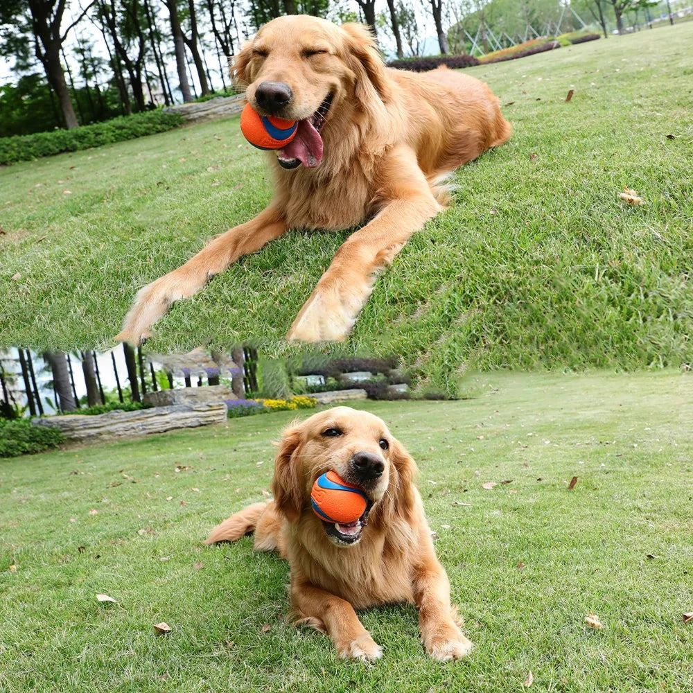 HOOPET Pet Dog Puppy Squeaky Chew Toy Sound Pure Natural Non-toxic Rubber Outdoor Play