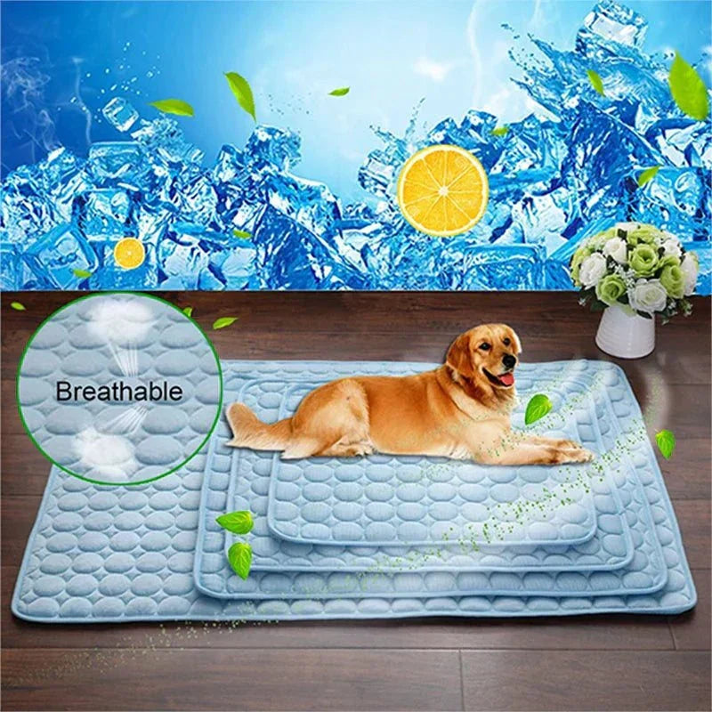 Cooling dog mat with breathable mesh fabric and pet lying on it