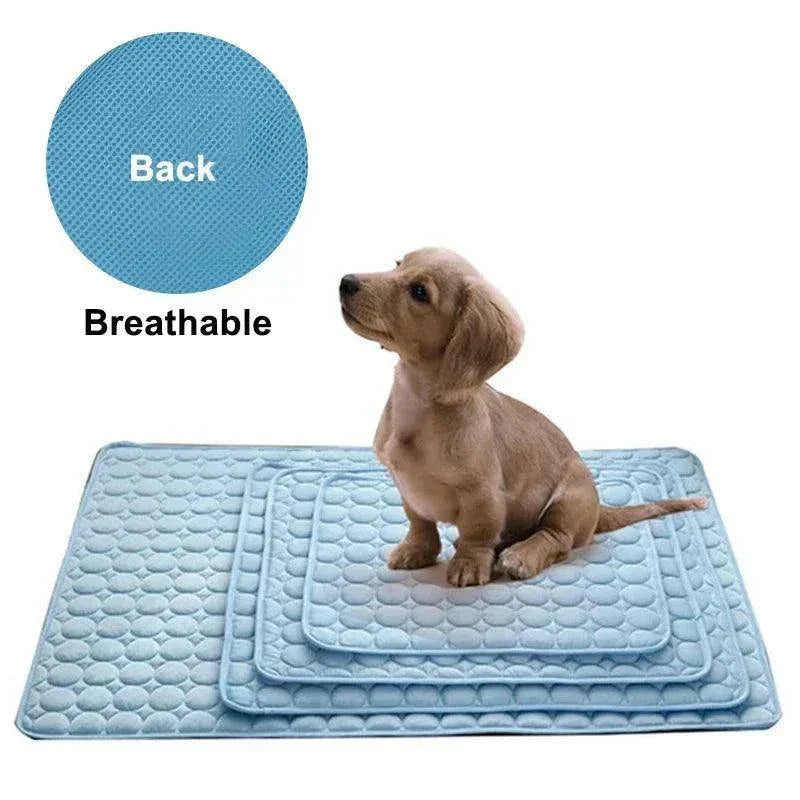 Blue breathable cooling dog mat with small puppy sitting on layered pet bed pads