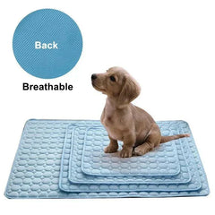 Blue breathable cooling dog mat with small puppy sitting on layered pet bed pads