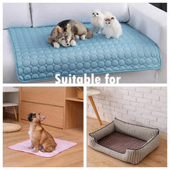 Blue and pink dog cooling mats for pets on sofa and floor with small dog bed nearby