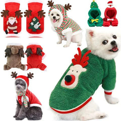 Small and medium dogs wearing warm Christmas dog clothes with Santa, reindeer, and Christmas tree designs