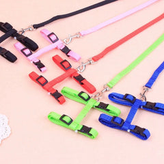 Hot-selling cat chest strap simple design traction rope sturdy and durable pet supplies
