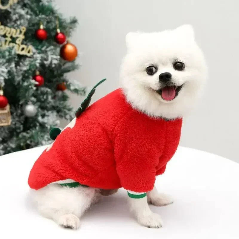 Small white dog wearing red Christmas winter hoodie sitting near decorated Christmas tree dog Christmas clothes