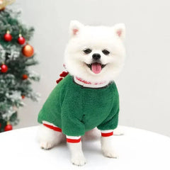 small white dog wearing green and red Christmas dog clothes sweater next to decorated Christmas tree