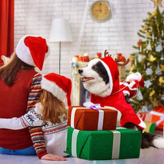 Funny Christmas Pet Cosplay Clothes for Small Medium Dogs Cats Warm Dog Cloak with Santa Claus Pet Costume Happy New Year Gift