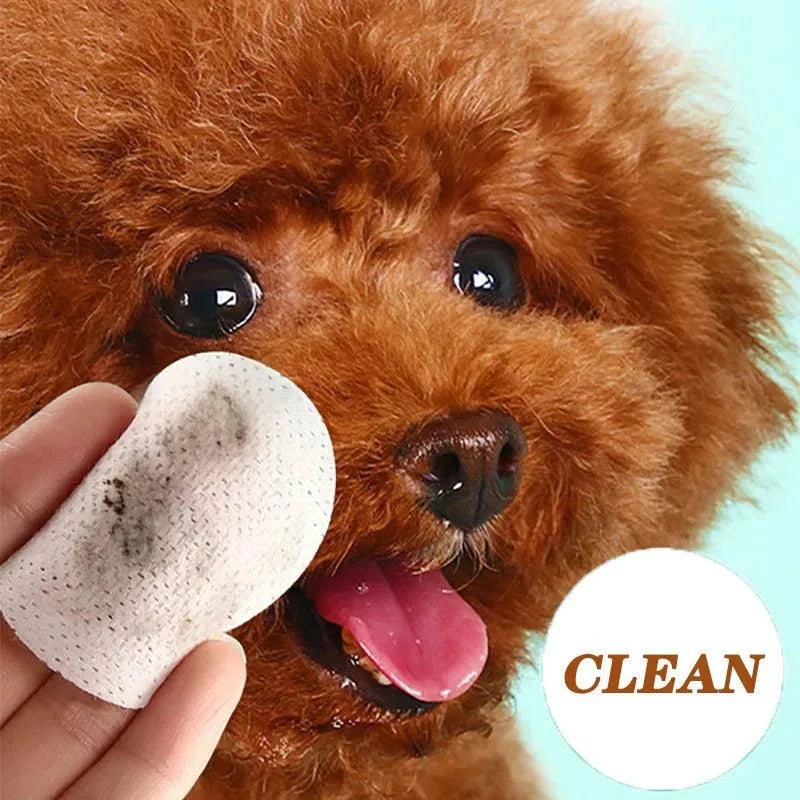 Pet Eye Wipes Cats And Dogs Tearmark Wet Wipes Cats And Dogs Universal No Irritation Canned Wipes