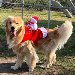 Funny Christmas Pet Cosplay Clothes for Small Medium Dogs Cats Warm Dog Cloak with Santa Claus Pet Costume Happy New Year Gift