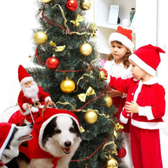 Funny Christmas Pet Cosplay Clothes for Small Medium Dogs Cats Warm Dog Cloak with Santa Claus Pet Costume Happy New Year Gift