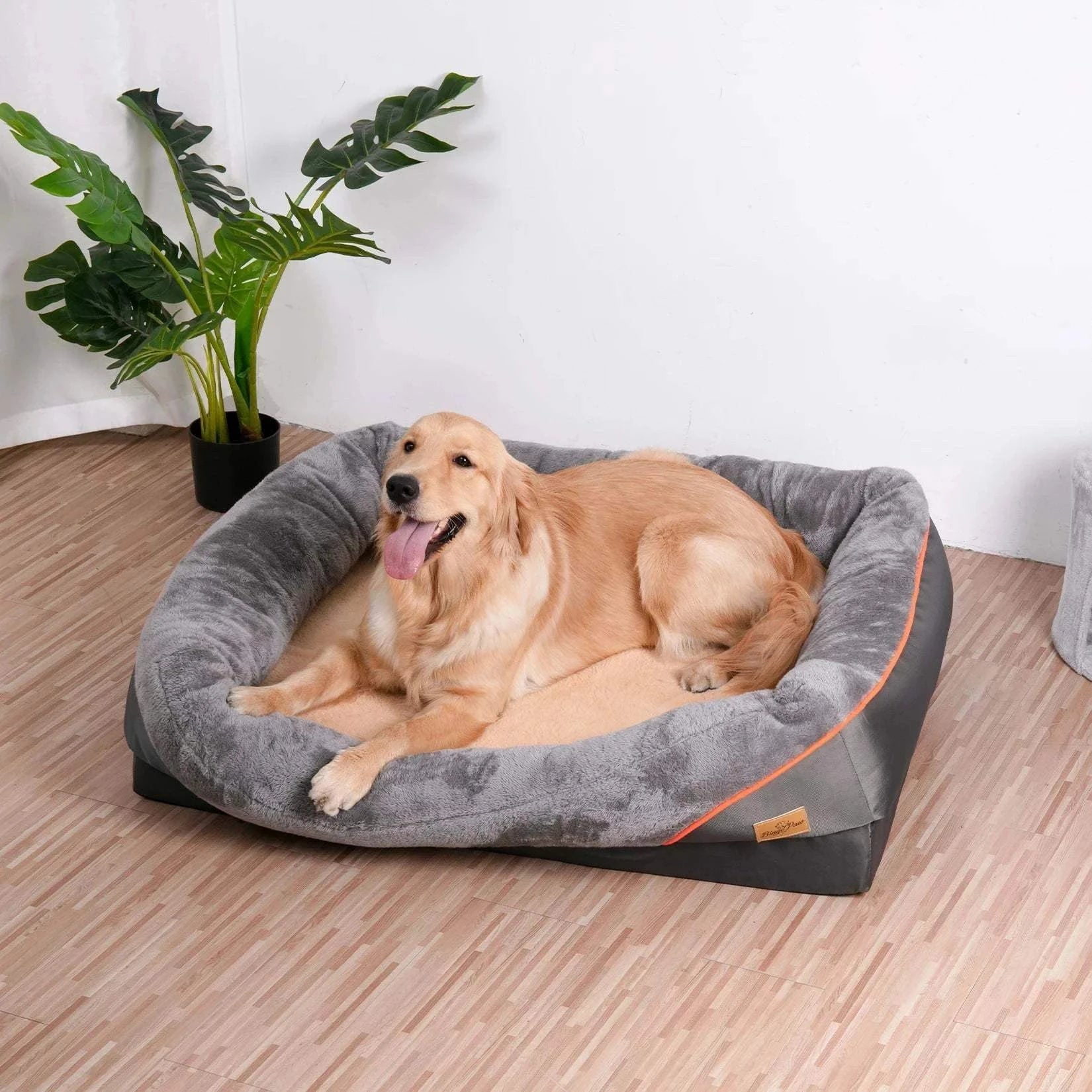Golden retriever lying on a super soft orthopedic foam dog bed with cotton-padded bolster and removable cover