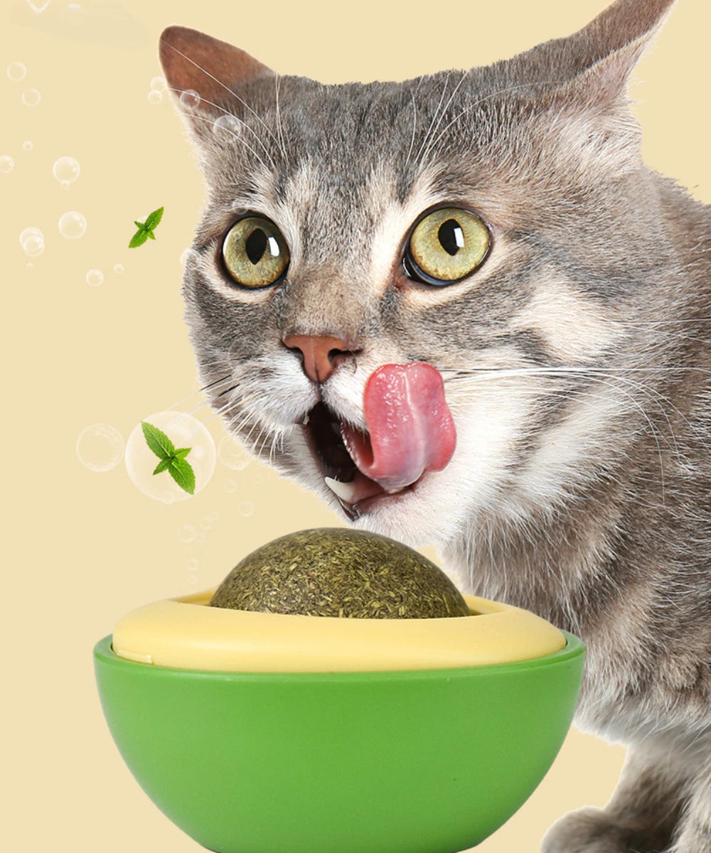 Natural Catnip Healthy Rotatable Wall Stick-on Ball Cats Teeth Cleaning Scratching Supplies