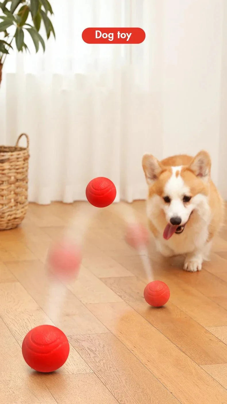 MADDEN S-XL Sizes solid rubber bite-resistant bouncy dog ball toy in red with corgi playing indoors