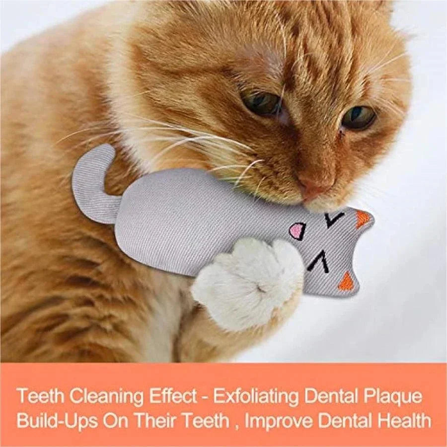 Orange cat playing with gray rustle sound catnip toy for dental health and teeth grinding